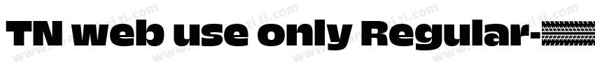 TN web use only Regular字体转换